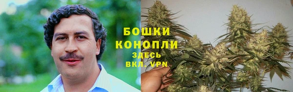 кокс Касимов