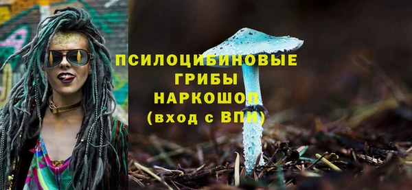спиды Карпинск