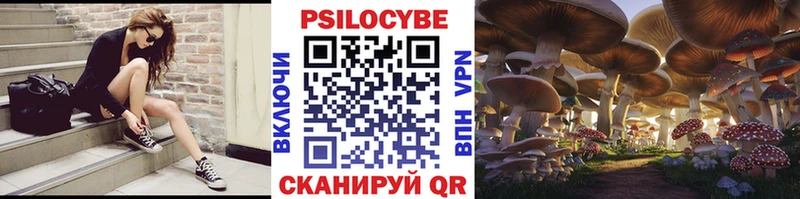 Галлюциногенные грибы Psilocybine cubensis  Купить закладки  Сольцы 